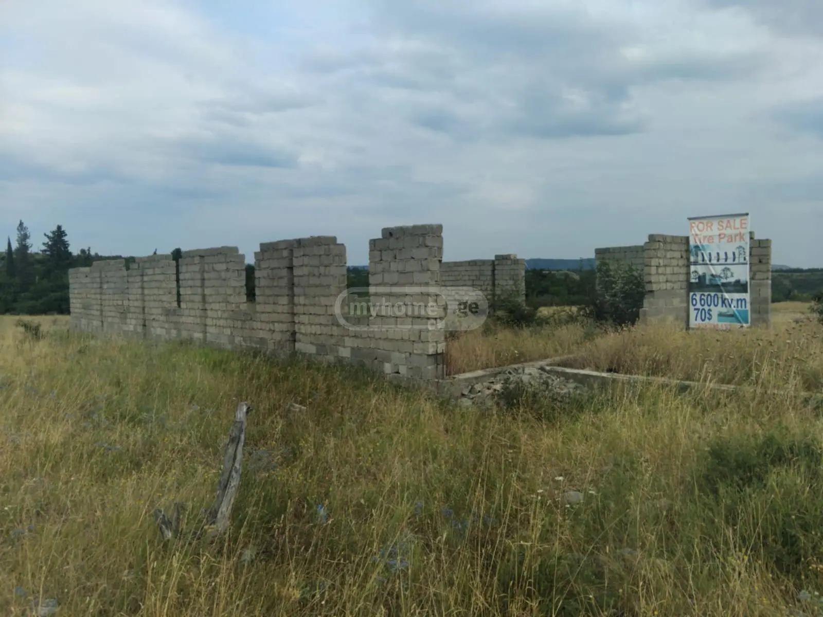 For Sale Ara Sasoplo-Sameurneo Land Plot Nadzaladevshi, 2 of 9