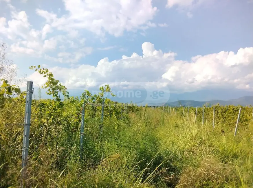 Продажа Земля / участок в Qvarelshi view 1