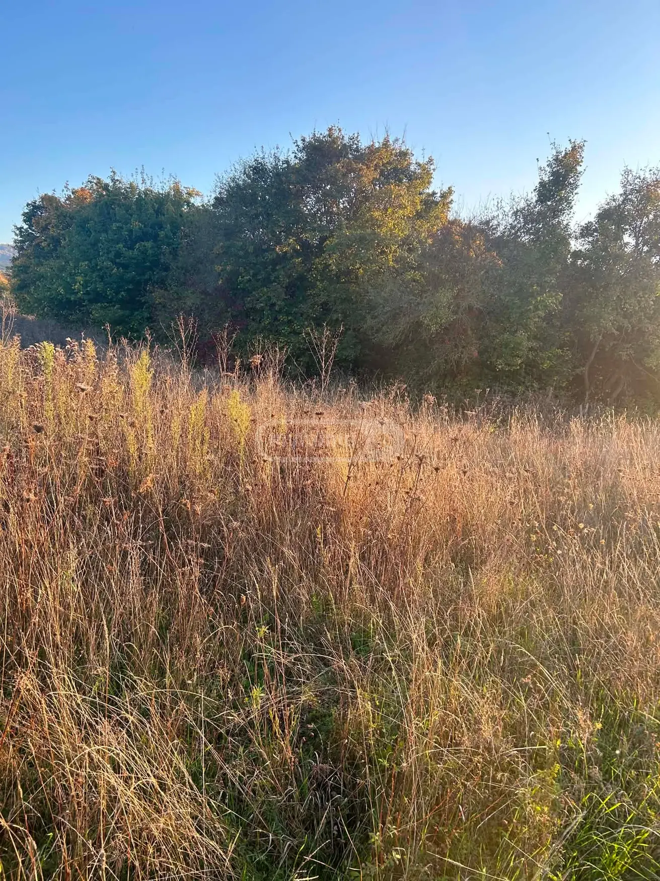 Продажа Земля / участок в Tianetis Munitsipalitetshi view 2