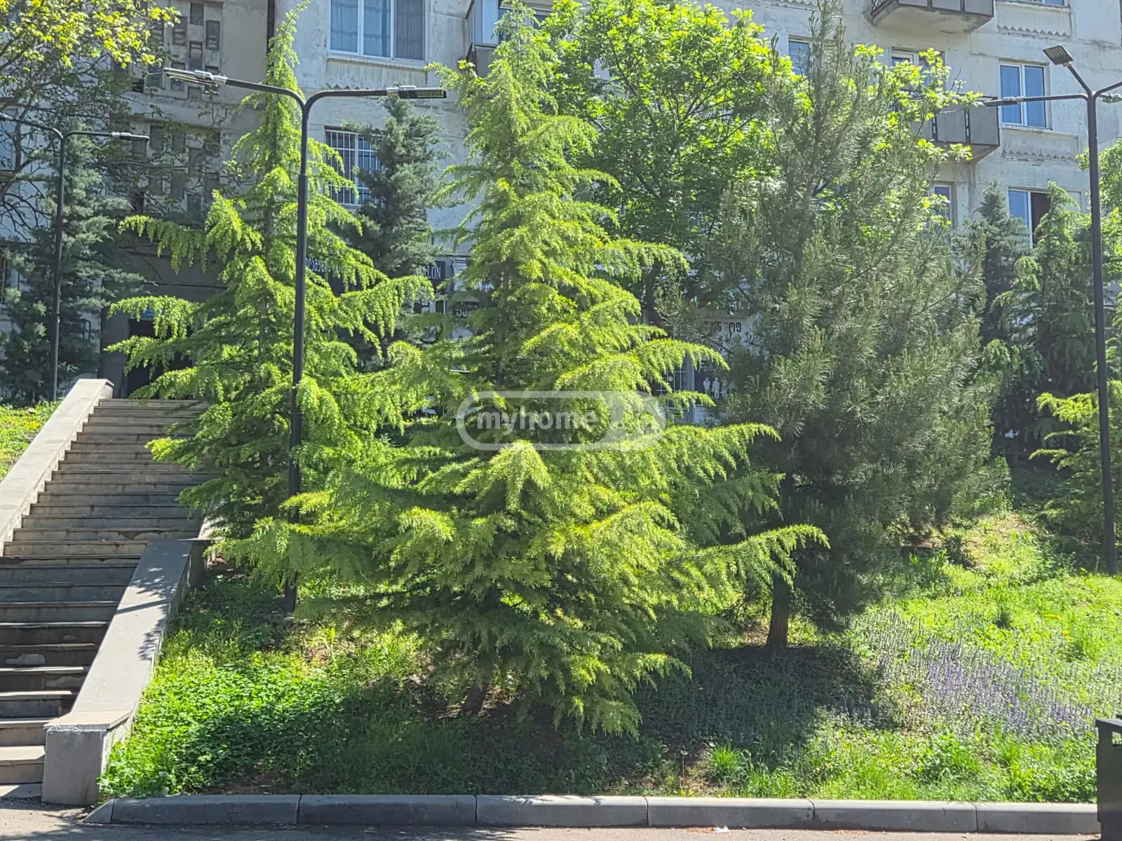 For Sale Savachro Commercial Space Varketilshi, 9 of 9