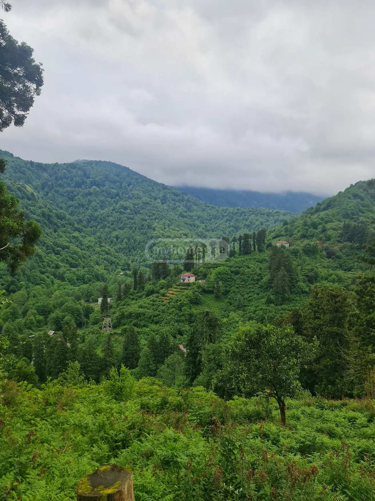 For Sale Sasoplo-Sameurneo Land Plot In Batumi view 2
