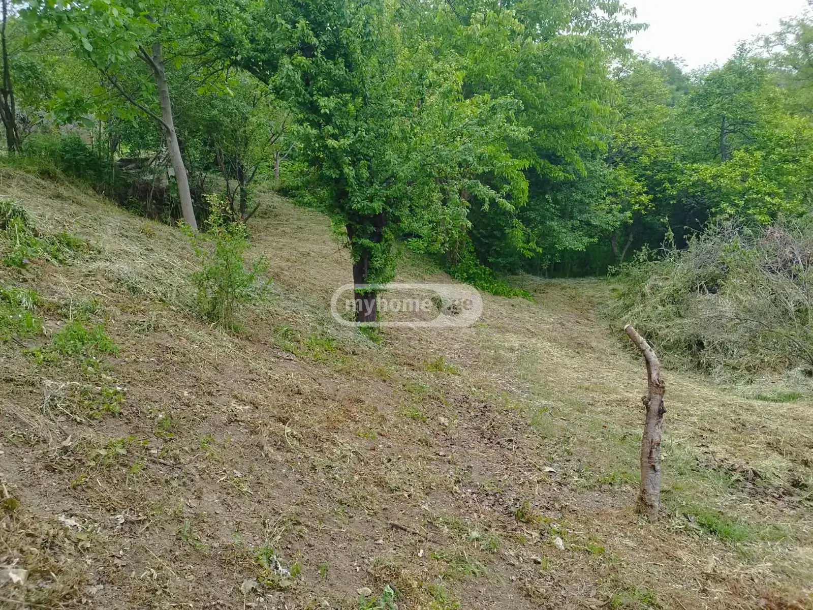 For Sale 4 Room Private House Lotkinze, 6 of 12