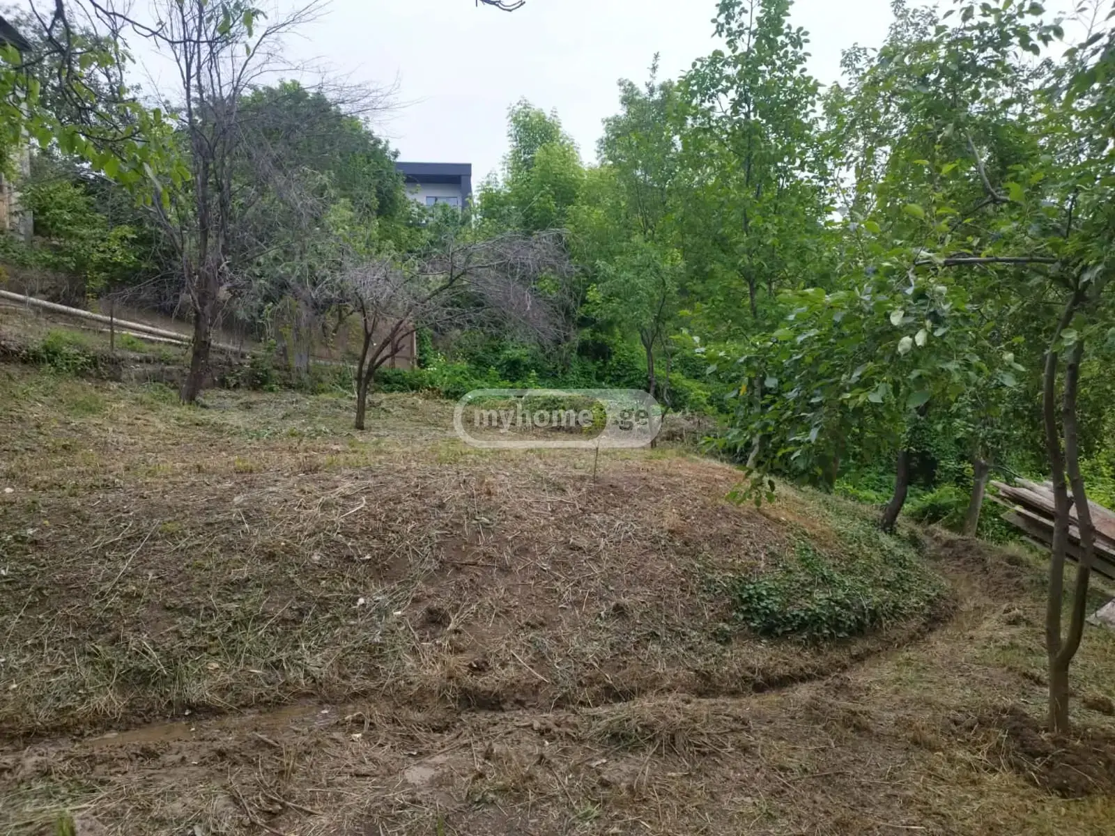 For Sale 4 Room Private House Lotkinze, 8 of 12