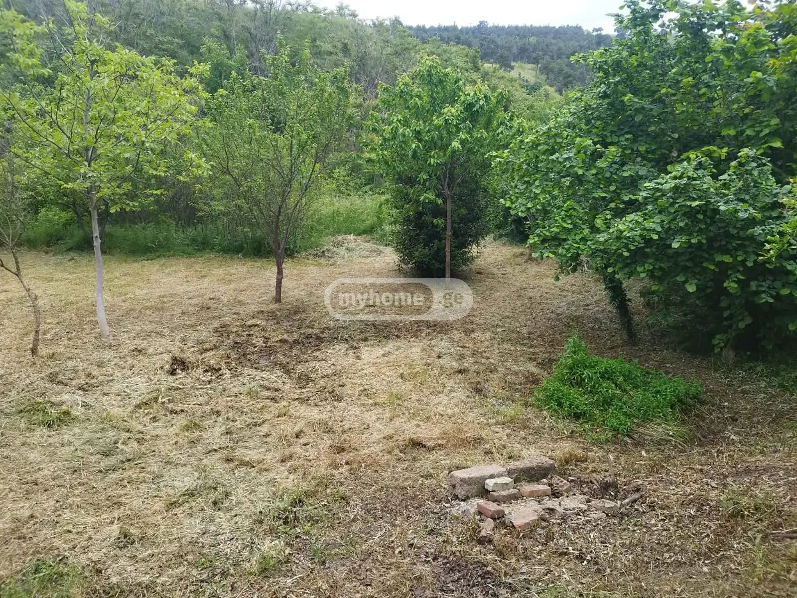 For Sale 4 Room Private House Lotkinze, 11 of 12