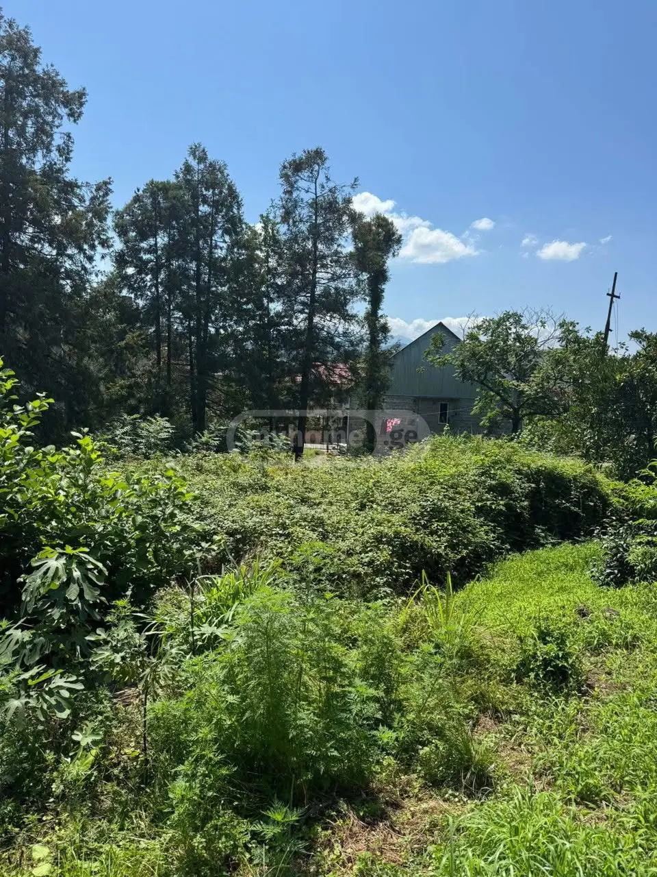 For Sale Sainvestitsio Land Plot In Batumi, 4 of 5