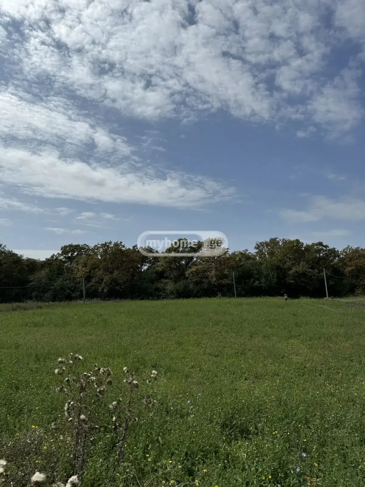 For Sale Sasoplo-Sameurneo Land Plot Dushetis Munitsipalitetshi view 1