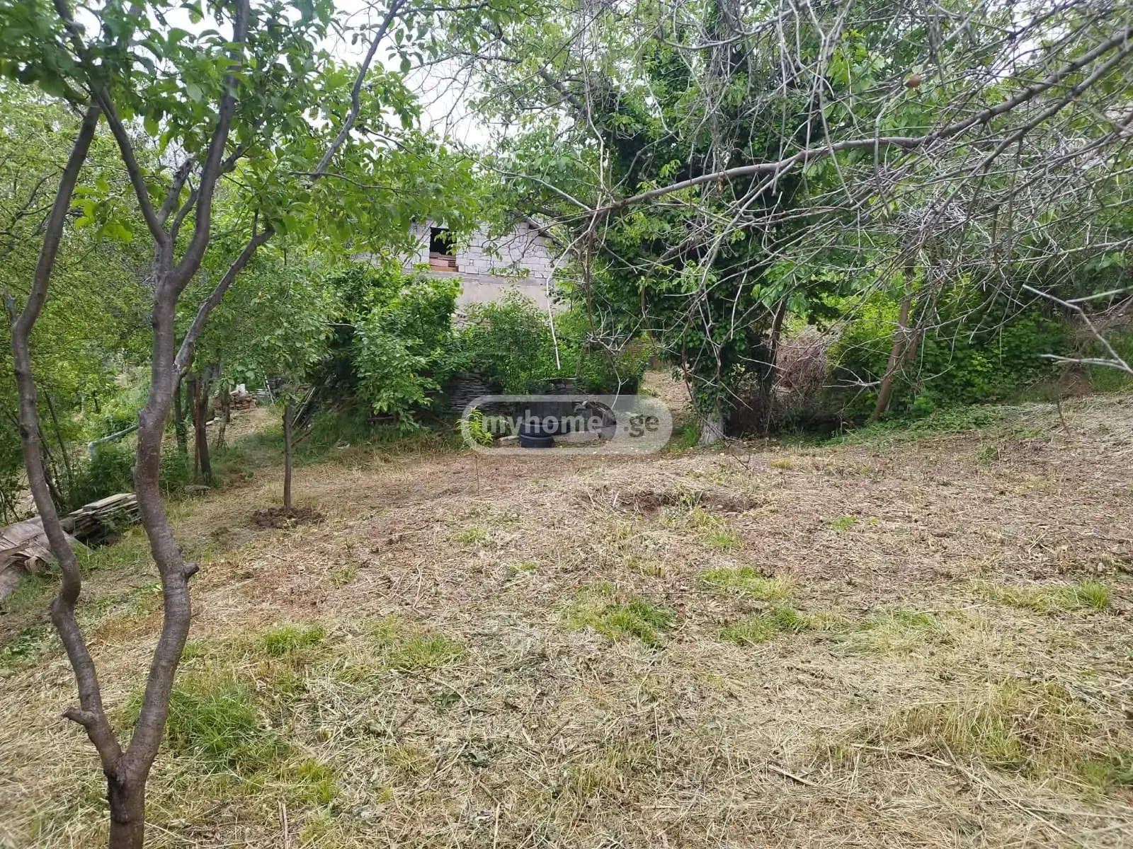 For Sale 4 Room Private House Lotkinze, 12 of 12