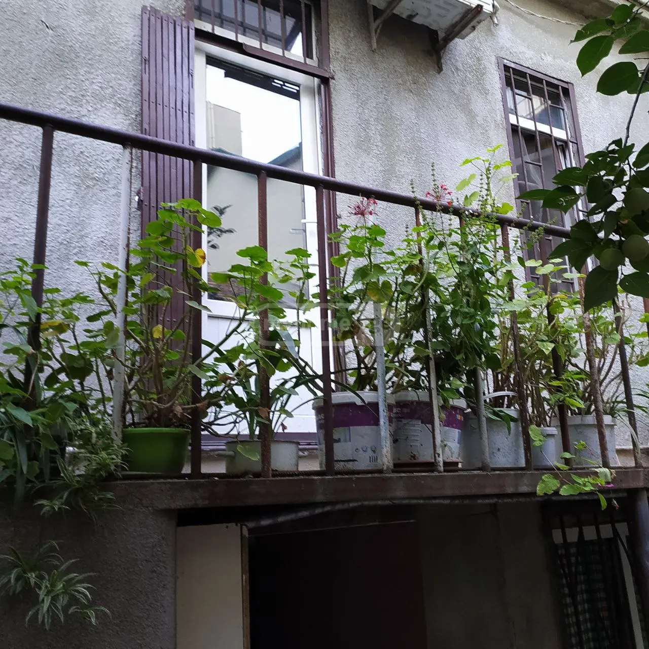 For Rent 2 Room Private House, 1 of 11