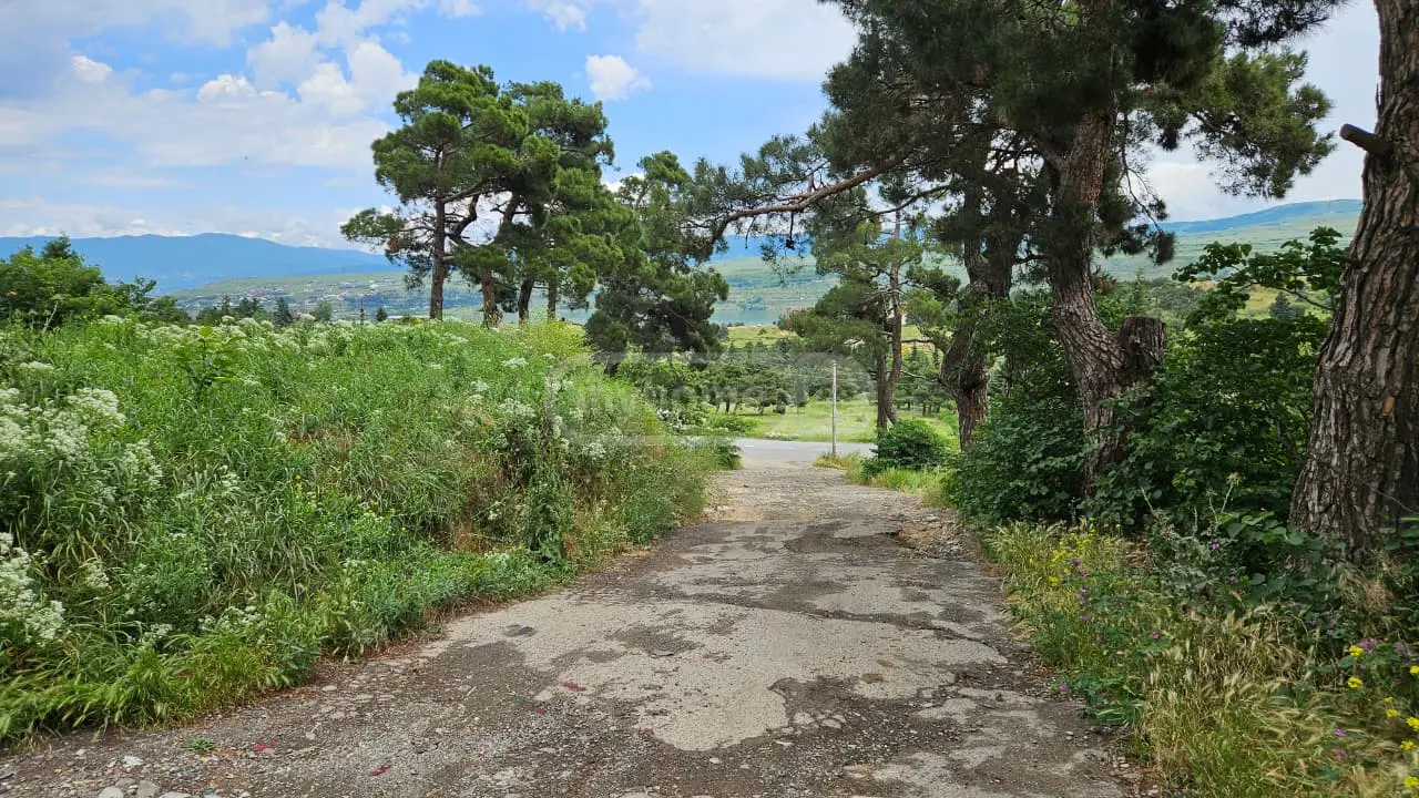 For Sale Sasoplo-Sameurneo Land Plot Chughuretshi, 4 of 5