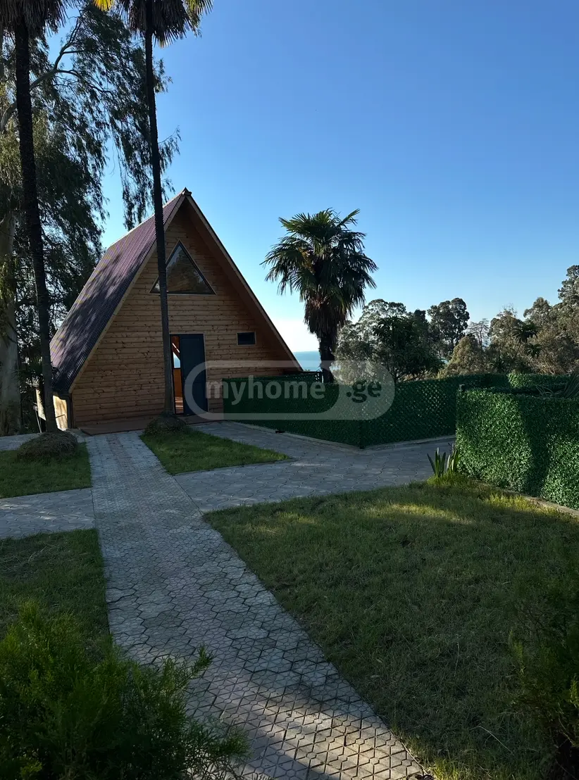 Daily Rent 2 Room Country House Kobuletis Munitsipalitetshi view 10