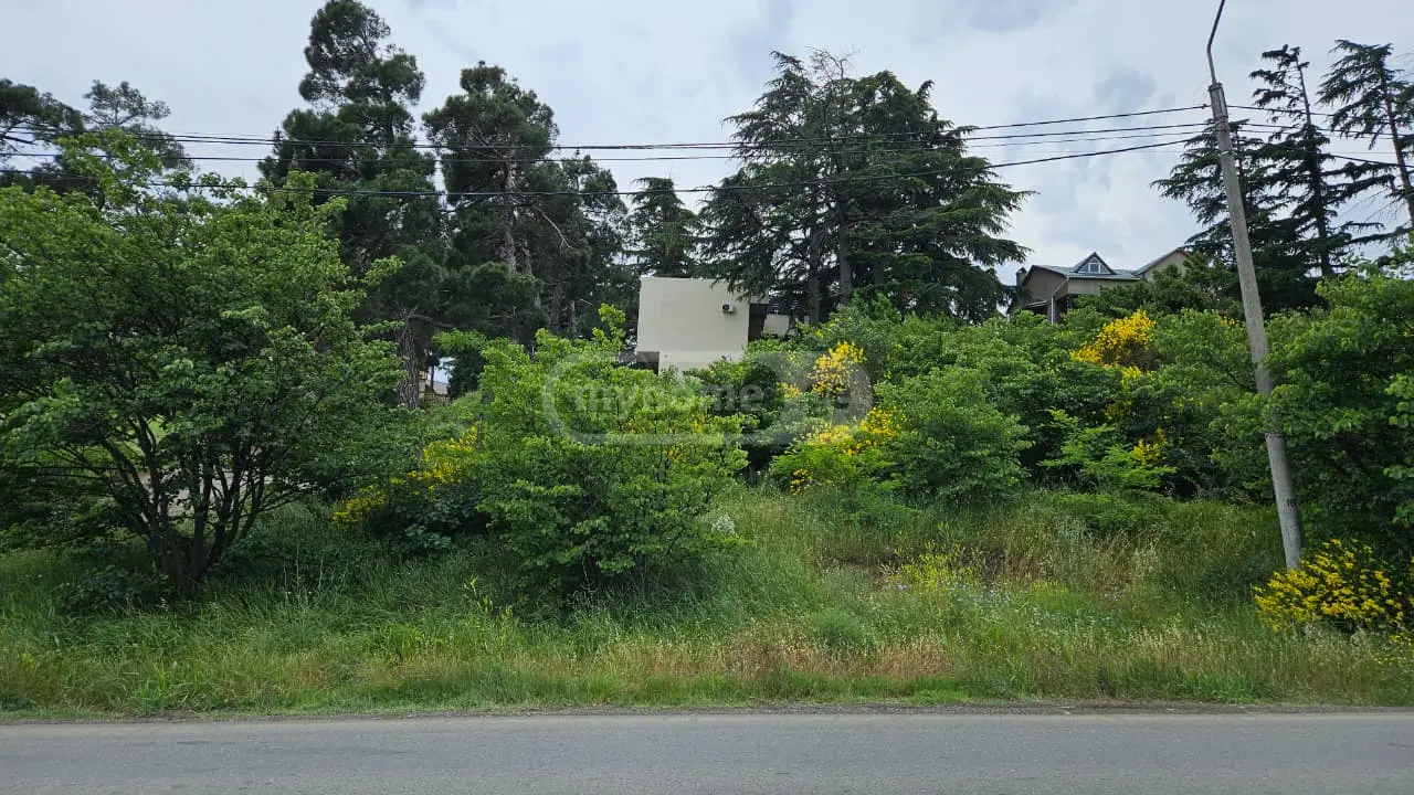 For Sale Komertsiuli Land Plot Chughuretshi, 4 of 5
