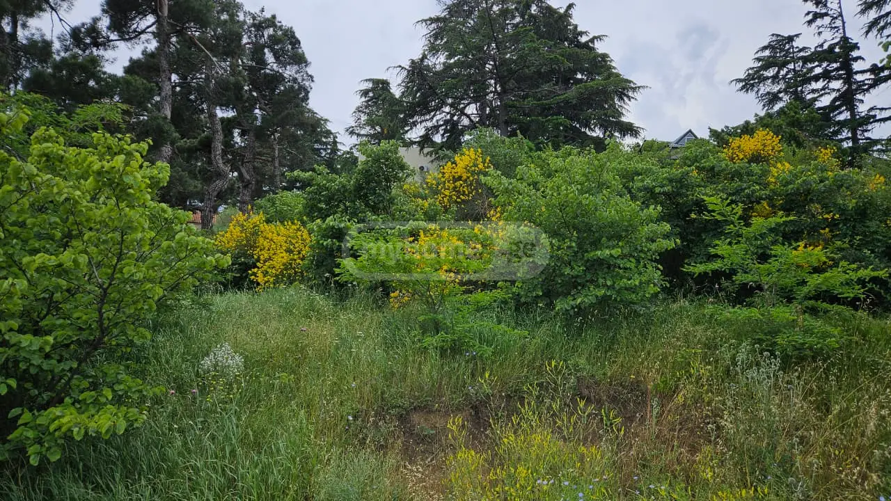 For Sale Komertsiuli Land Plot Chughuretshi, 5 of 5