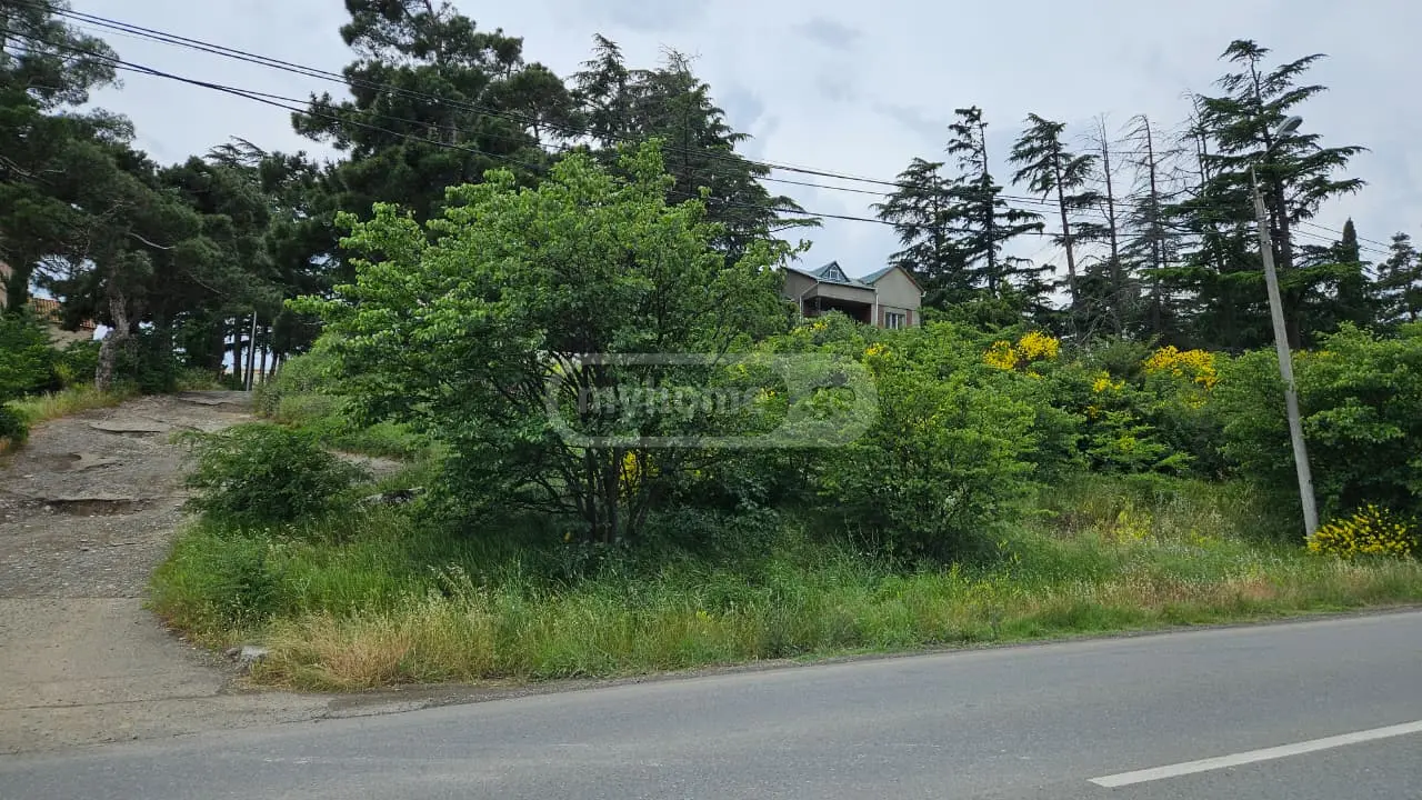 For Sale Komertsiuli Land Plot Chughuretshi, 3 of 5