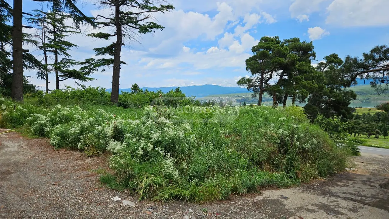 For Sale Sasoplo-Sameurneo Land Plot Chughuretshi, 2 of 5