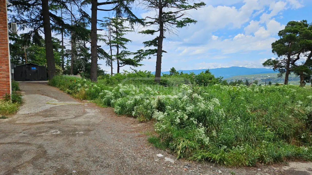 For Sale Sasoplo-Sameurneo Land Plot Chughuretshi, 1 of 7