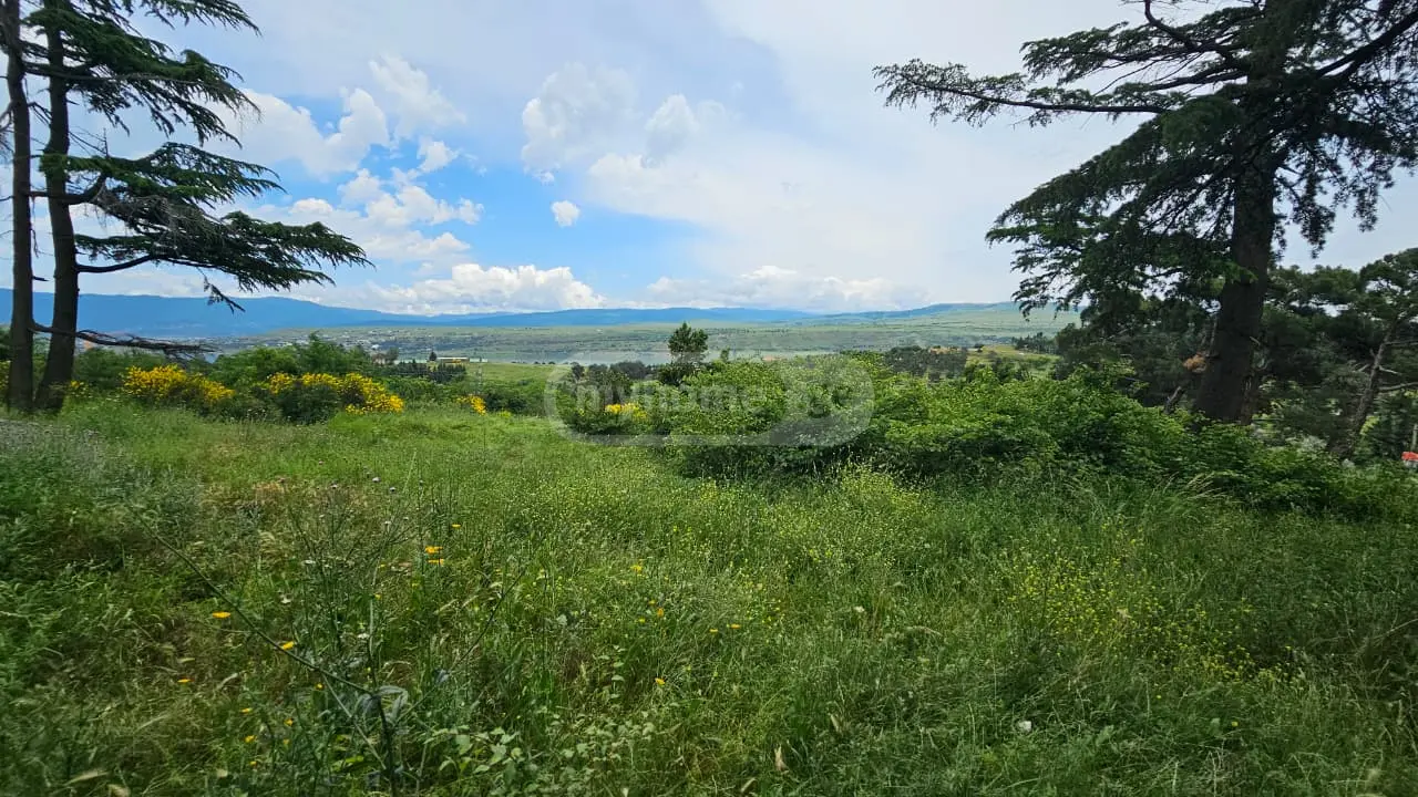 For Sale Sasoplo-Sameurneo Land Plot Chughuretshi, 2 of 7