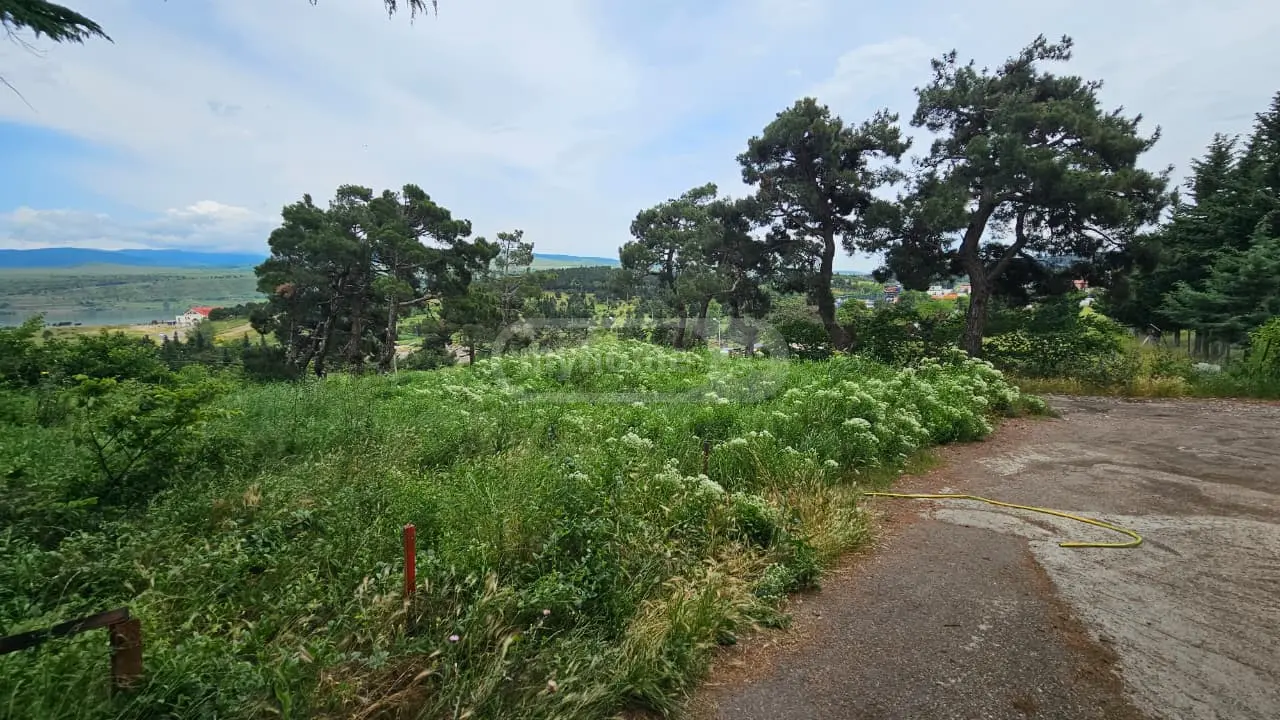 For Sale Sasoplo-Sameurneo Land Plot Chughuretshi, 5 of 7