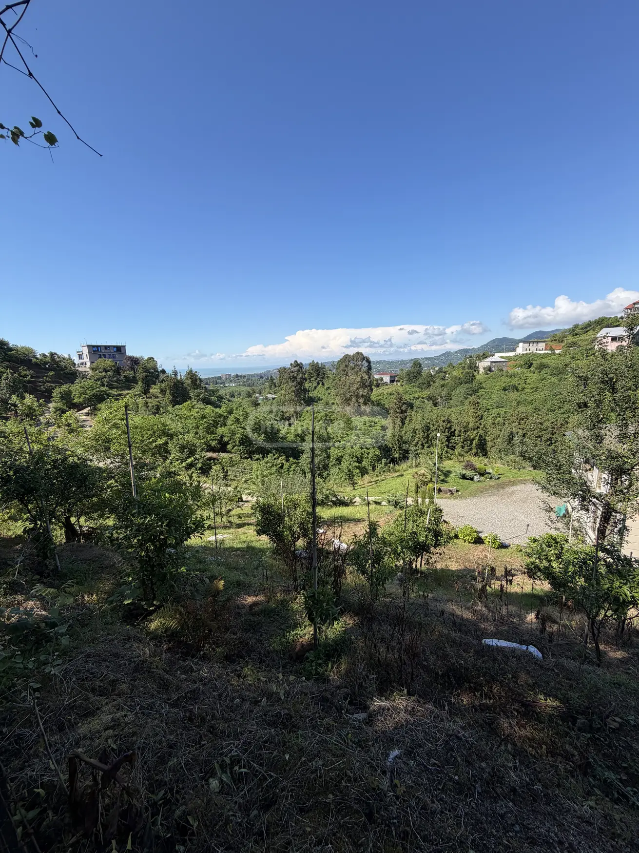For Sale Ara Sasoplo-Sameurneo Land Plot In Batumi view 15