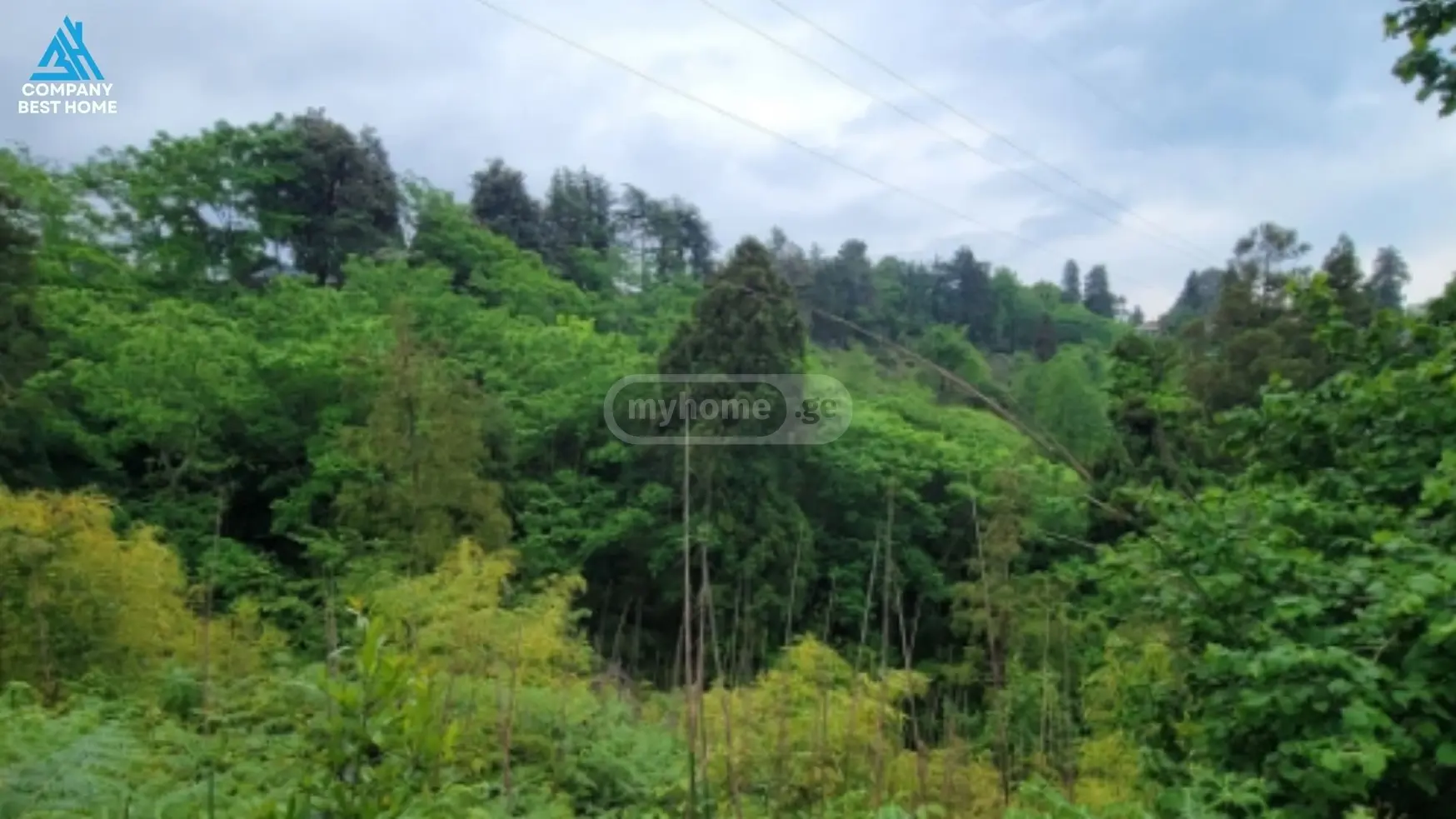 For Sale Sasoplo-Sameurneo Land Plot Kobuletshi, 2 of 2