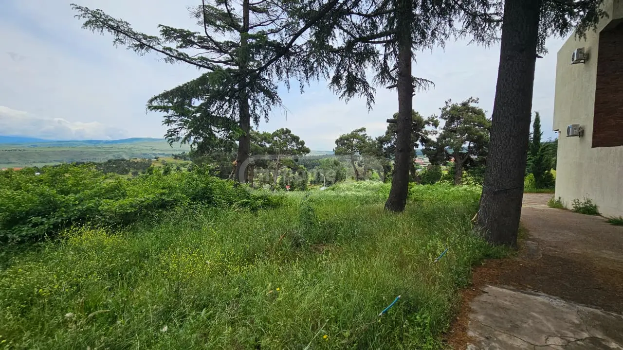 For Sale Sasoplo-Sameurneo Land Plot Chughuretshi, 4 of 7