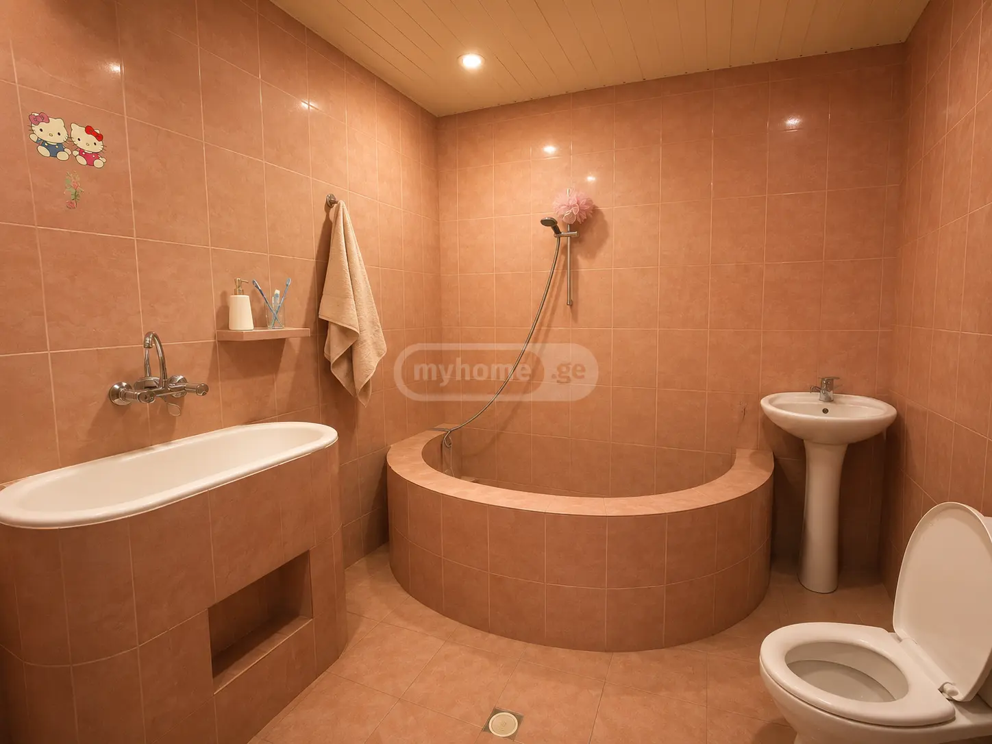 For Sale 5 Room Private House Mtskhetis Munitsipalitetshi view 5