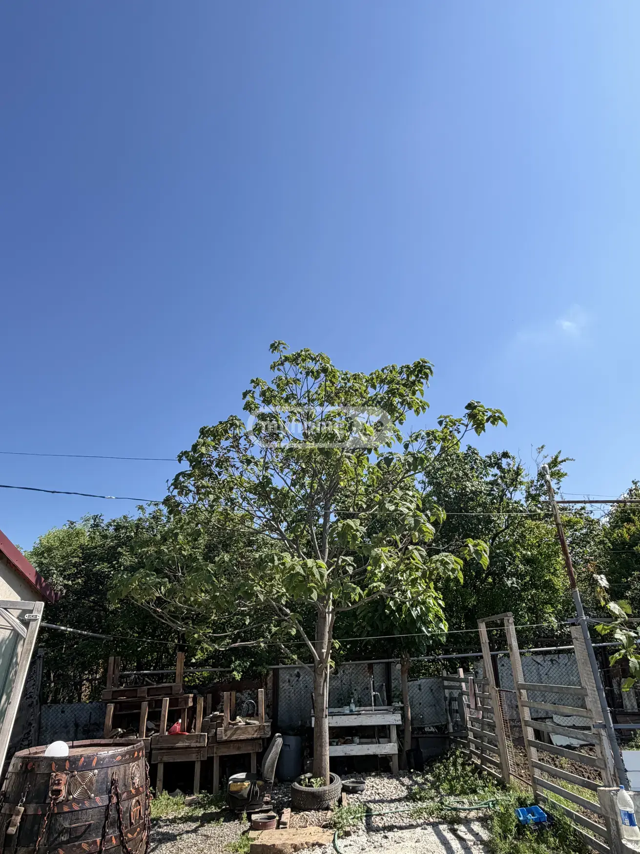 For Sale 3 Room Private House Sagarejos Munitsipalitetshi view 4