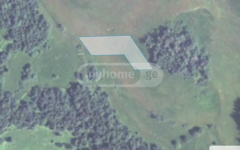 For Sale Sasoplo-Sameurneo Land Plot Gudaurshi, 2 of 3
