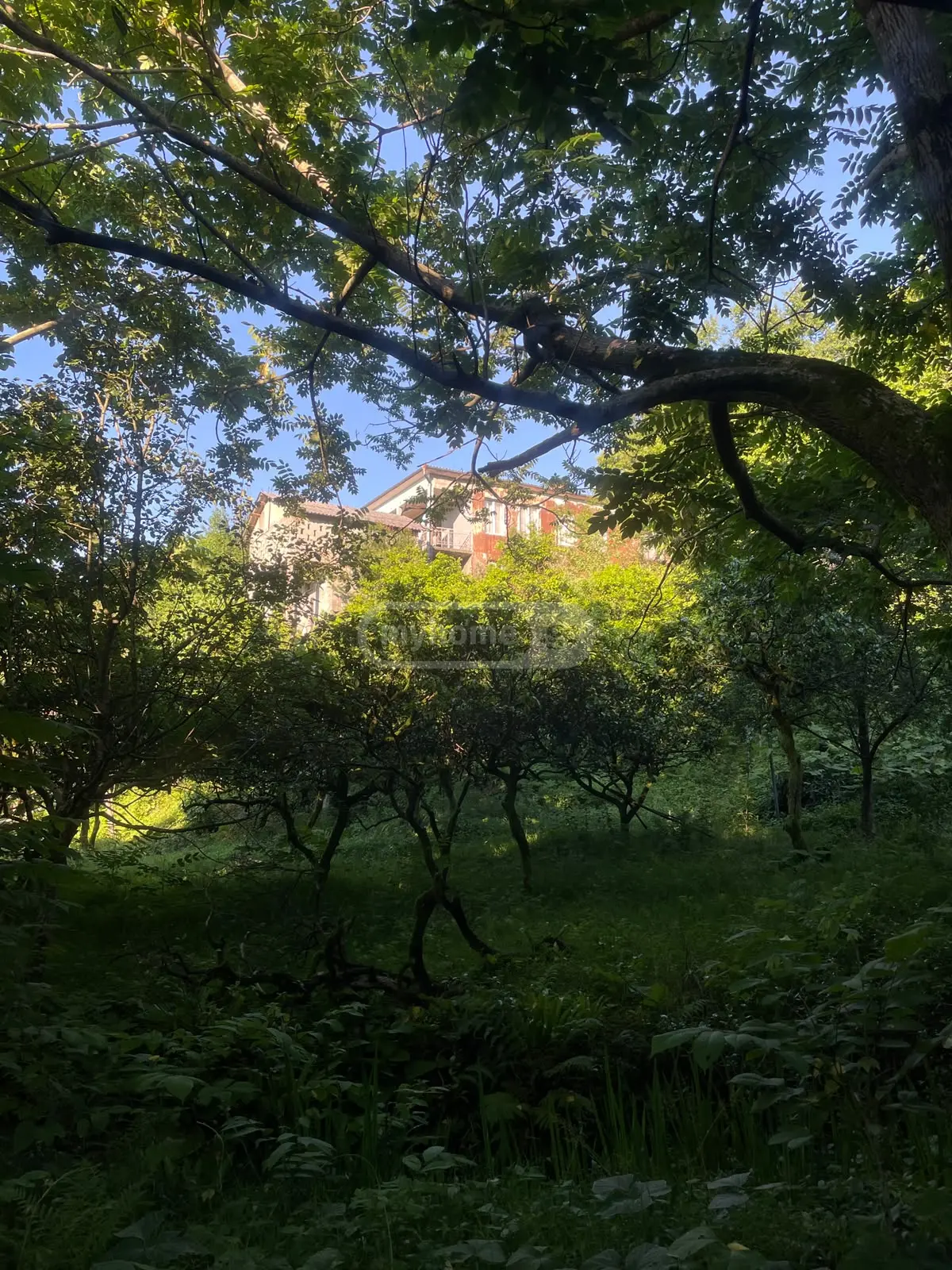 For Sale 6 Room Private House Khelvachauris Munitsipalitetshi view 11