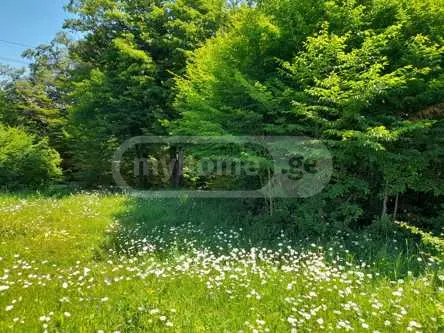 For Sale Sasoplo-Sameurneo Land Plot Betaniashi, 4 of 5