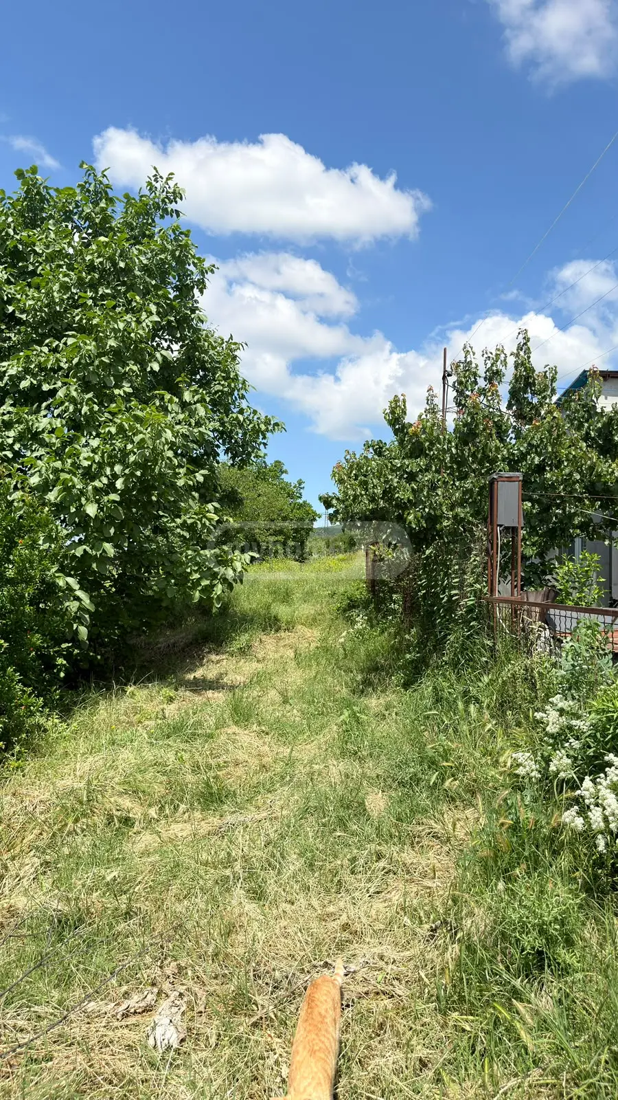For Sale Sasoplo-Sameurneo Land Plot In Gldani, 4 of 6