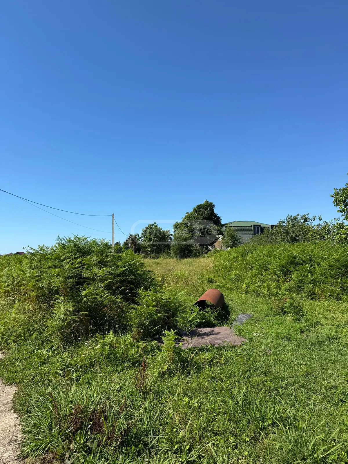 For Sale Ara Sasoplo-Sameurneo Land Plot Kobuletis Munitsipalitetshi view 9