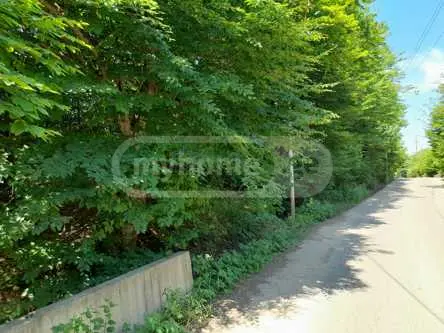 For Sale Sasoplo-Sameurneo Land Plot Betaniashi, 3 of 5