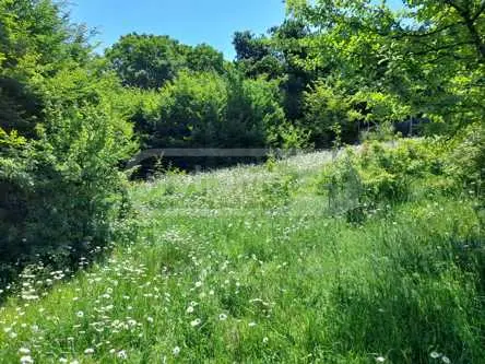 For Sale Sasoplo-Sameurneo Land Plot Betaniashi, 1 of 5