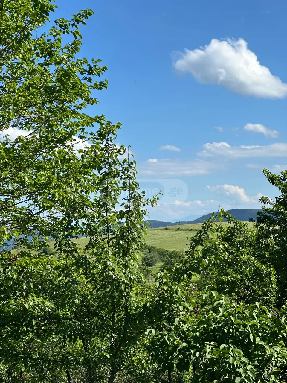 For Sale 6 Room Country House Tetritsqaros Raionshi view 13