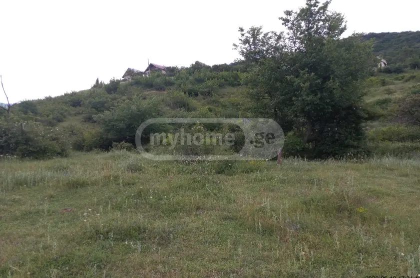 For Sale Sasoplo-Sameurneo Land Plot In Gldani, 3 of 5