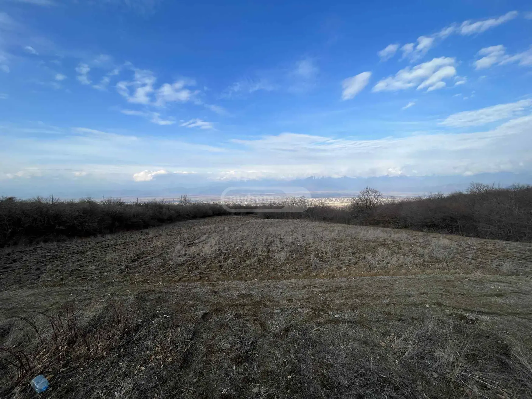 For Sale Sasoplo-Sameurneo Land Plot Telavis Munitsipalitetshi view 2