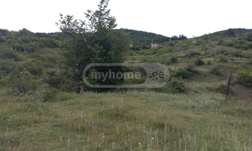 For Sale Sasoplo-Sameurneo Land Plot In Gldani, 4 of 5