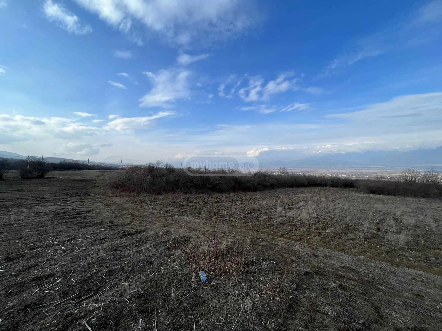 For Sale Sasoplo-Sameurneo Land Plot Telavis Munitsipalitetshi view 3