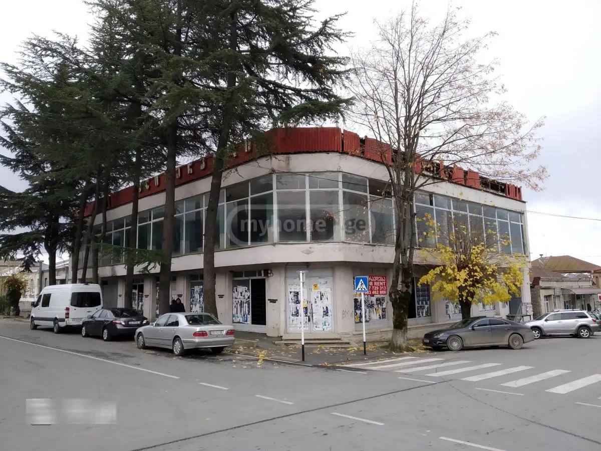 For Sale Universaluri Commercial Space Lagodekhshi view 1
