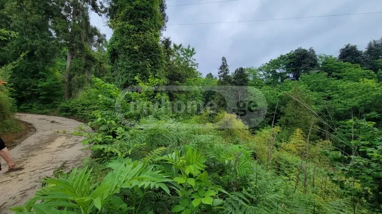 For Sale Sasoplo-Sameurneo Land Plot Kobuletis Munitsipalitetshi view 3