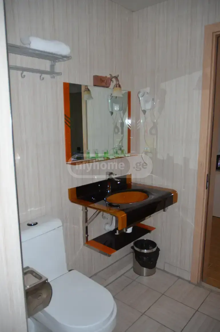 For Rent 10+ Room Sastumro In Batumi, 11 of 12
