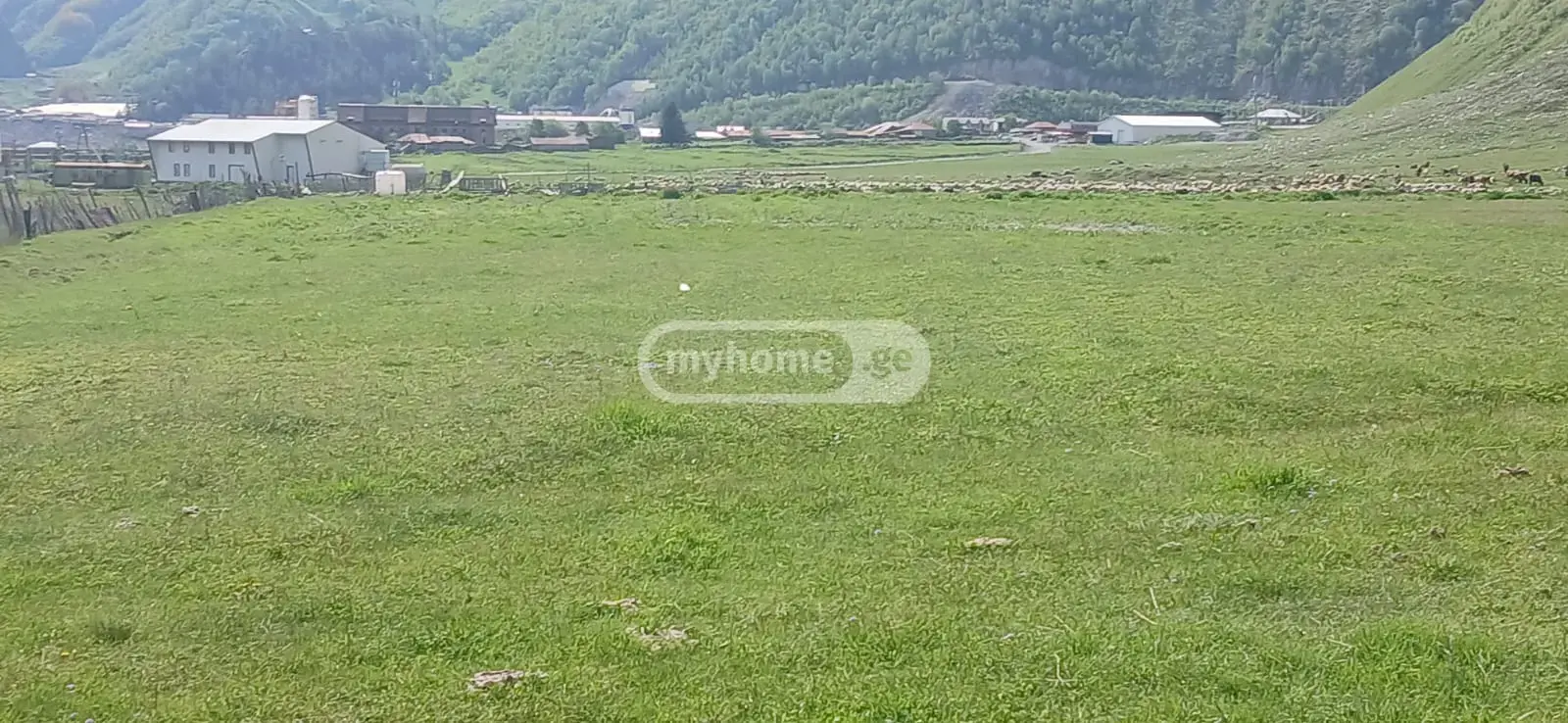 For Sale Sasoplo-Sameurneo Land Plot Qazbegshi view 3
