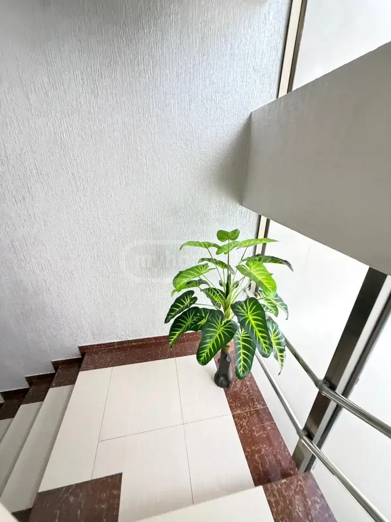 For Rent 10+ Room Sastumro In Batumi, 6 of 12