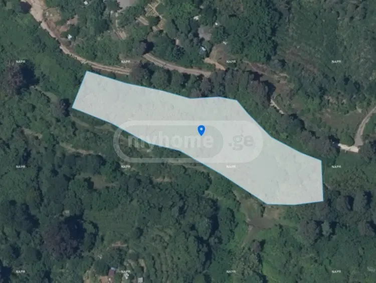 For Sale Sasoplo-Sameurneo Land Plot Kobuletis Munitsipalitetshi view 4