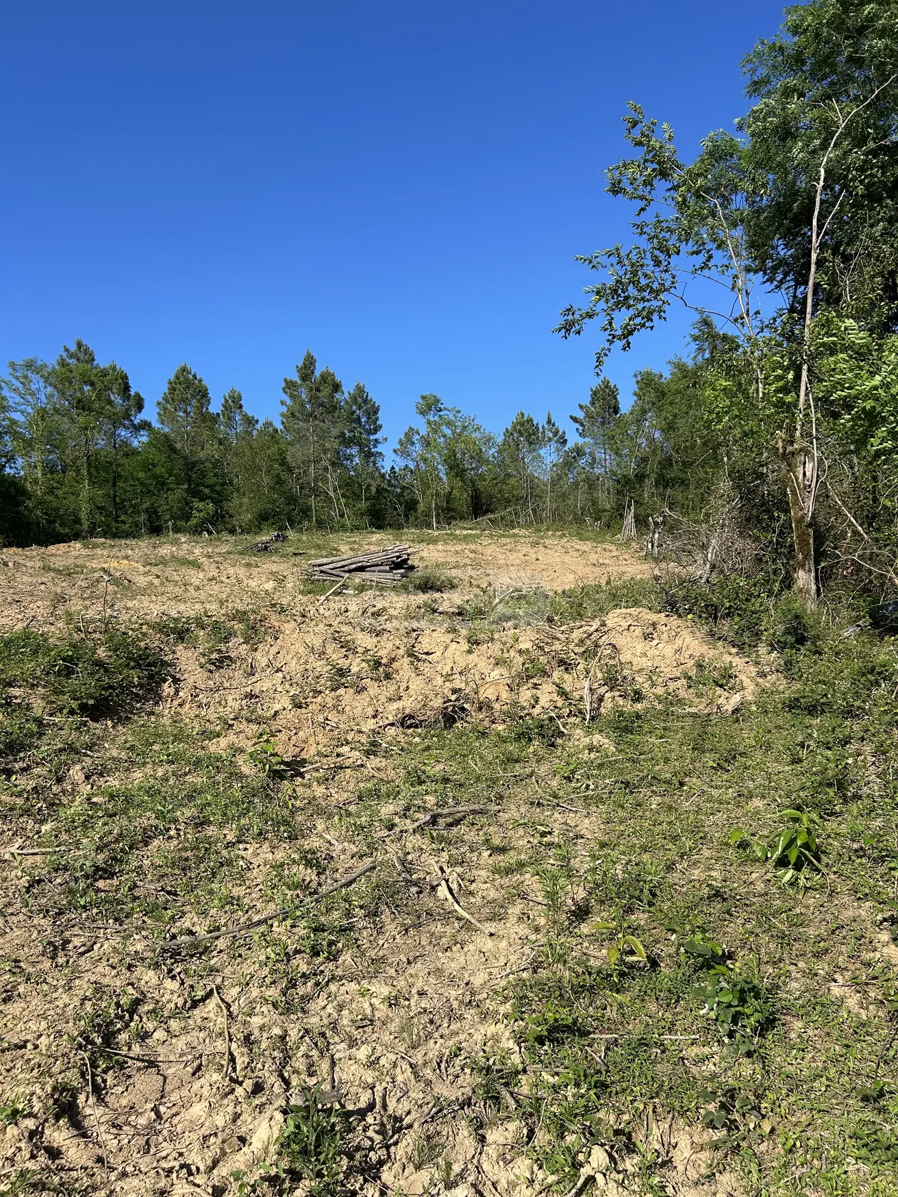 For Sale Sasoplo-Sameurneo Land Plot Kutaisshi, 4 of 8