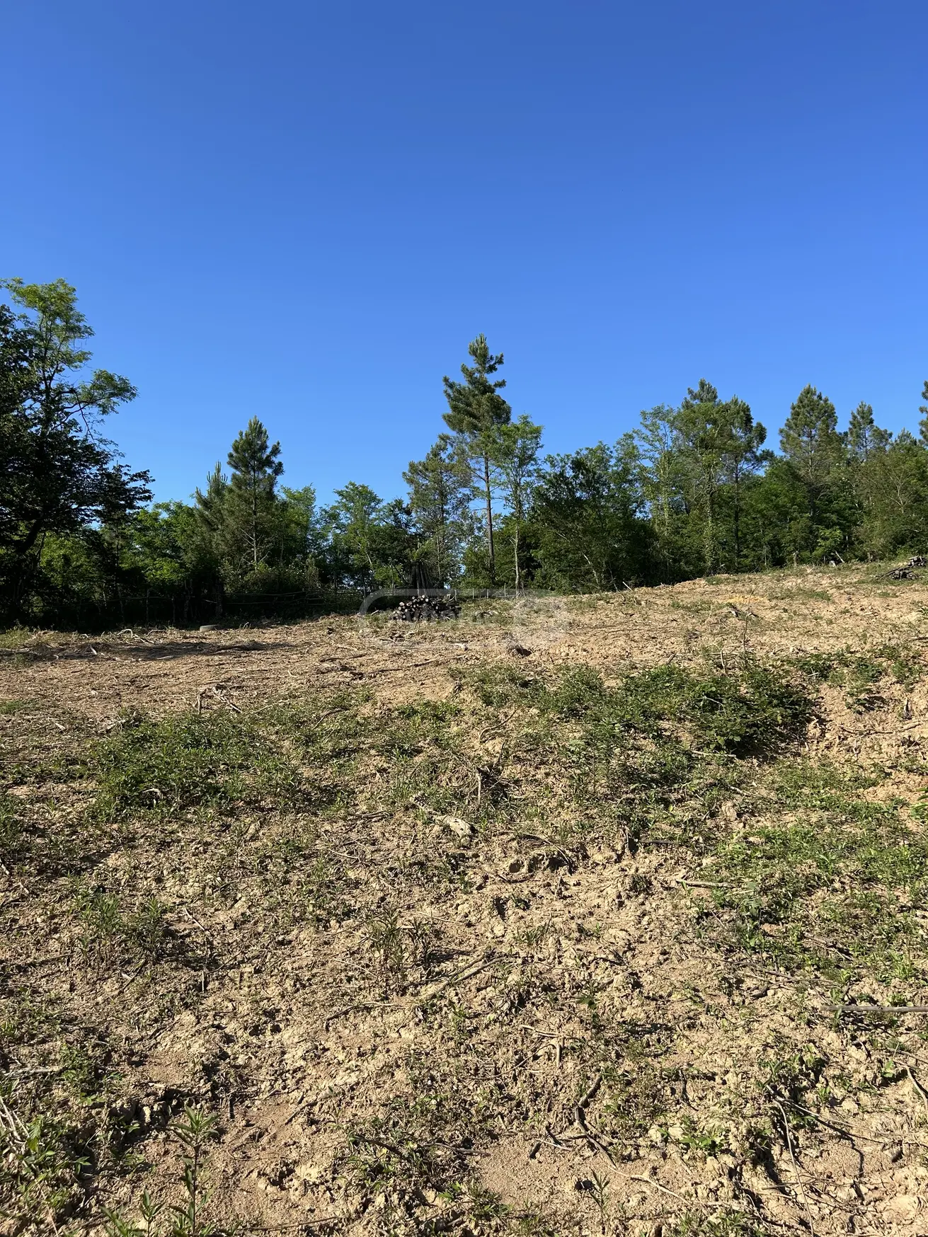 For Sale Sasoplo-Sameurneo Land Plot Kutaisshi, 3 of 8