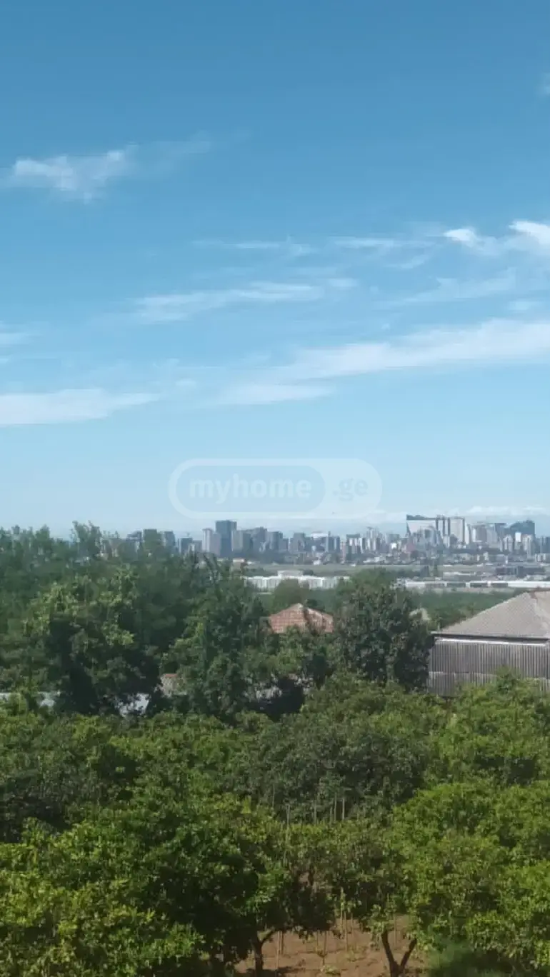 For Sale Sasoplo-Sameurneo Land Plot Khelvachauris Munitsipalitetshi view 5