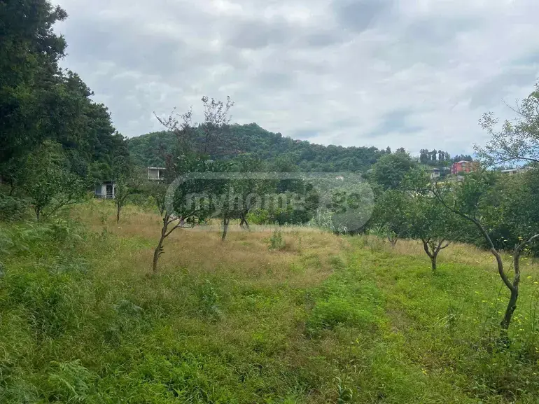 For Sale Sasoplo-Sameurneo Land Plot Khelvachauris Munitsipalitetshi view 4