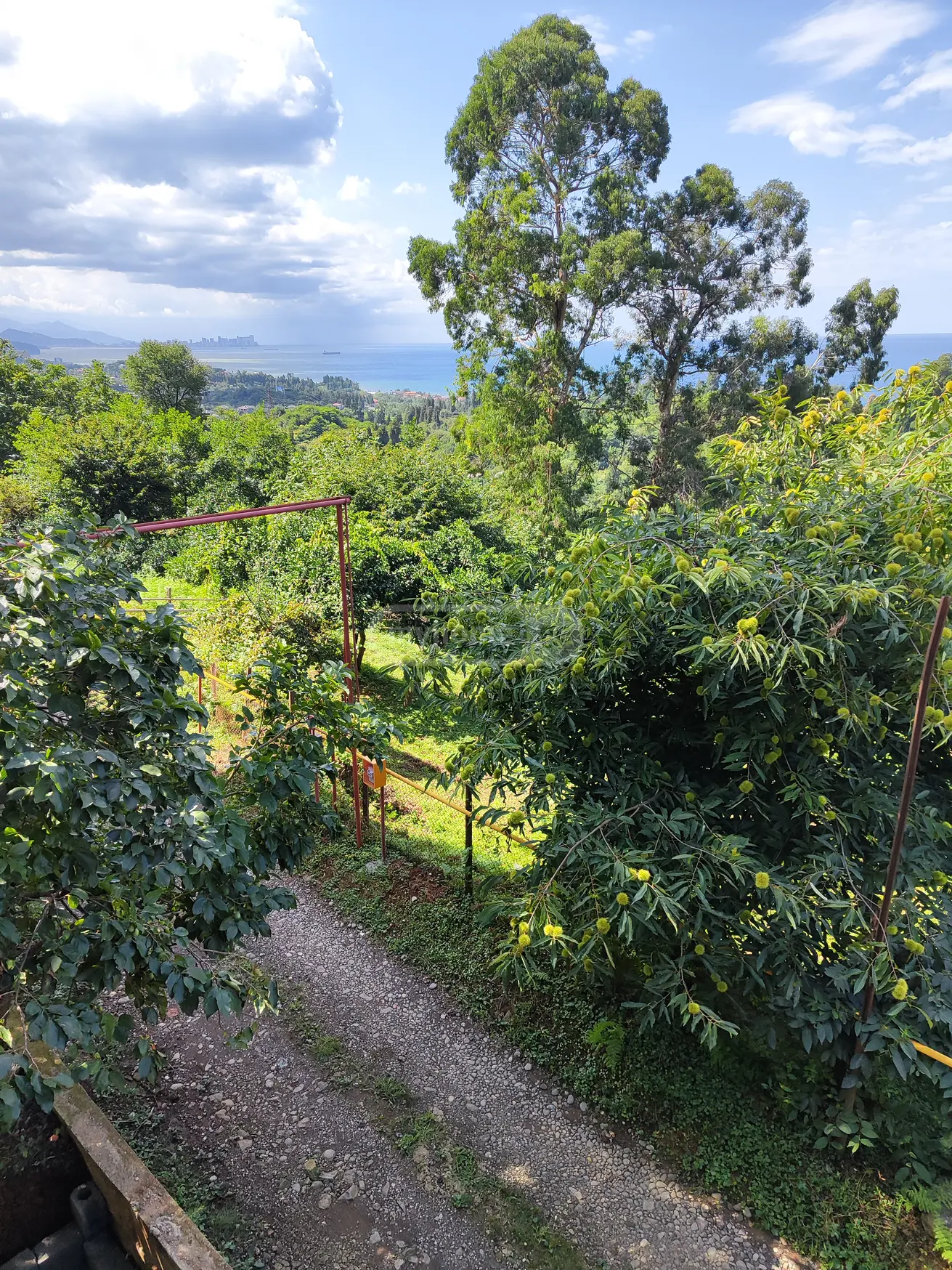 For Sale Sasoplo-Sameurneo Land Plot Kobuletis Munitsipalitetshi view 6