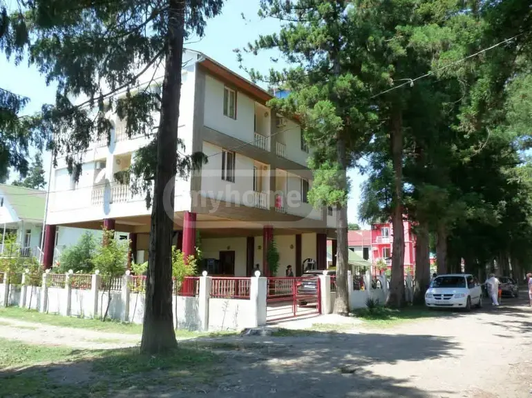 For Sale Mtliani Shenoba Commercial Space Ozurgetis Munitsipalitetshi view 14